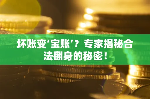 济南坏账变‘宝账’？专家揭秘合法翻身的秘密！