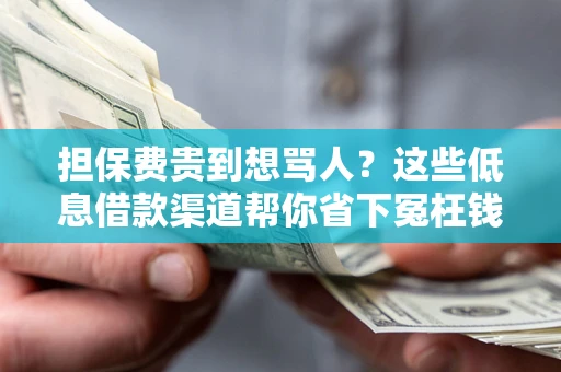 济南担保费贵到想骂人？这些低息借款渠道帮你省下冤枉钱