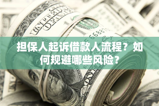 济南担保人起诉借款人流程？如何规避哪些风险？