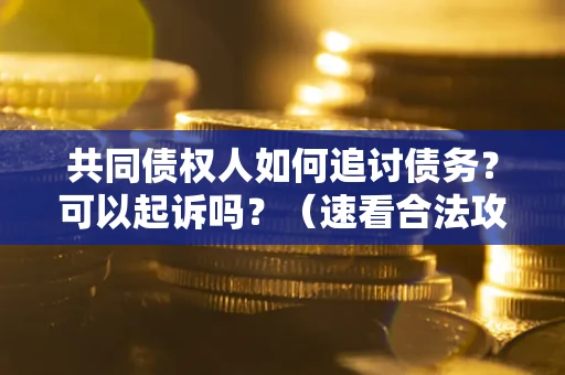 济南共同债权人如何追讨债务？可以起诉吗？（速看合法攻略）